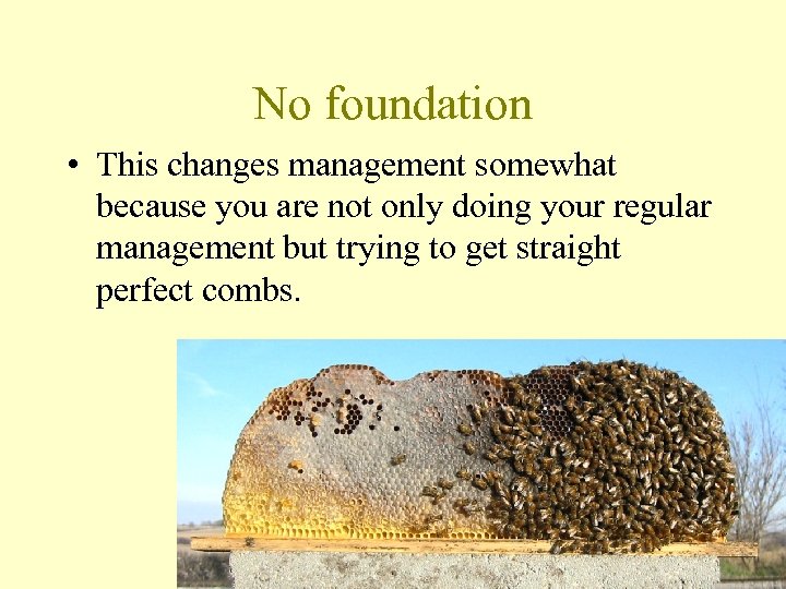 No foundation • This changes management somewhat because you are not only doing your