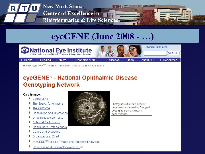 R T U New York State Center of Excellence in Bioinformatics & Life Sciences