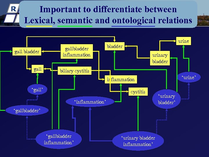 New York State R T U Important to differentiate between Lexical, semantic and ontological