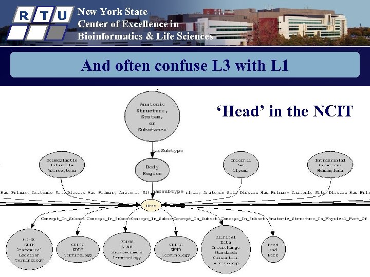 R T U New York State Center of Excellence in Bioinformatics & Life Sciences
