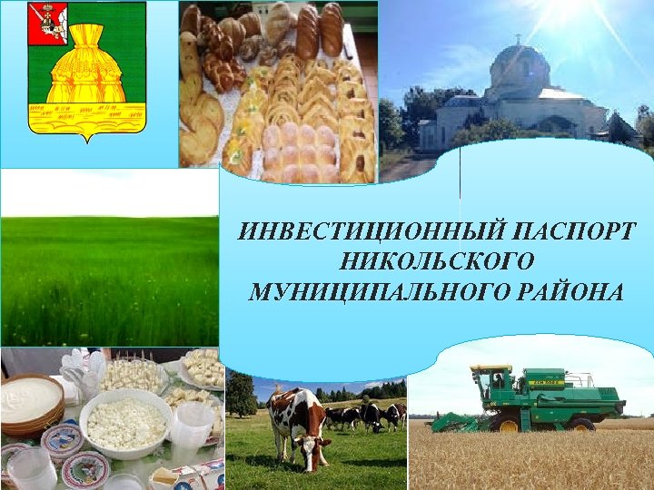 ИНВЕСТИЦИОННЫЙ ПАСПОРТ НИКОЛЬСКОГО МУНИЦИПАЛЬНОГО РАЙОНА 
