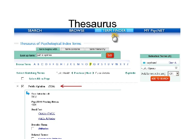 Thesaurus 