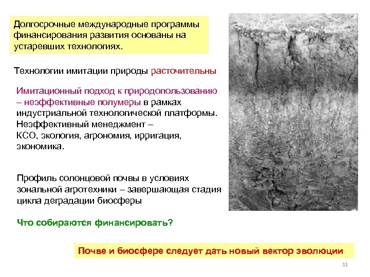 Долгосрочные международные программы финансирования развития основаны на устаревших технологиях. Технологии имитации природы расточительны Имитационный