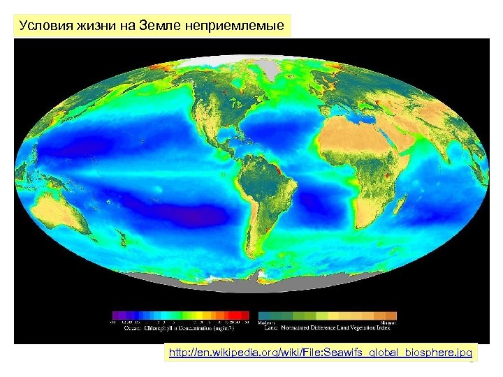 Условия жизни на Земле неприемлемые http: //en. wikipedia. org/wiki/File: Seawifs_global_biosphere. jpg 2 