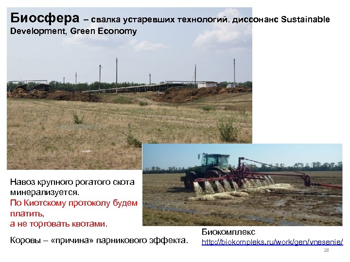 Биосфера – свалка устаревших технологий. диссонанс Sustainable Development, Green Economy Навоз крупного рогатого скота