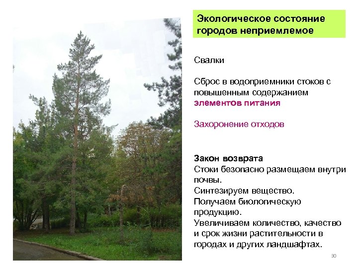 Экологическое состояние городов неприемлемое Свалки Сброс в водоприемники стоков с повышенным содержанием элементов питания