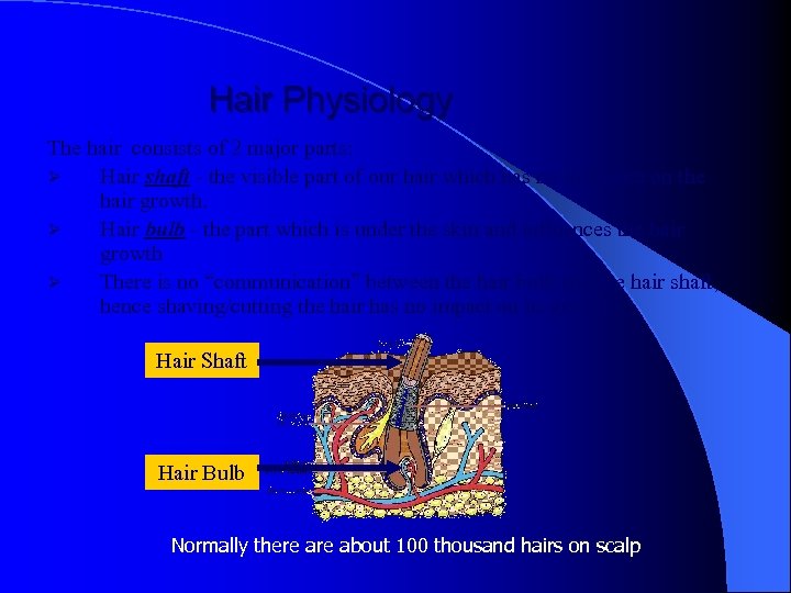 Hair Physiology The hair consists of 2 major parts: Ø Hair shaft - the