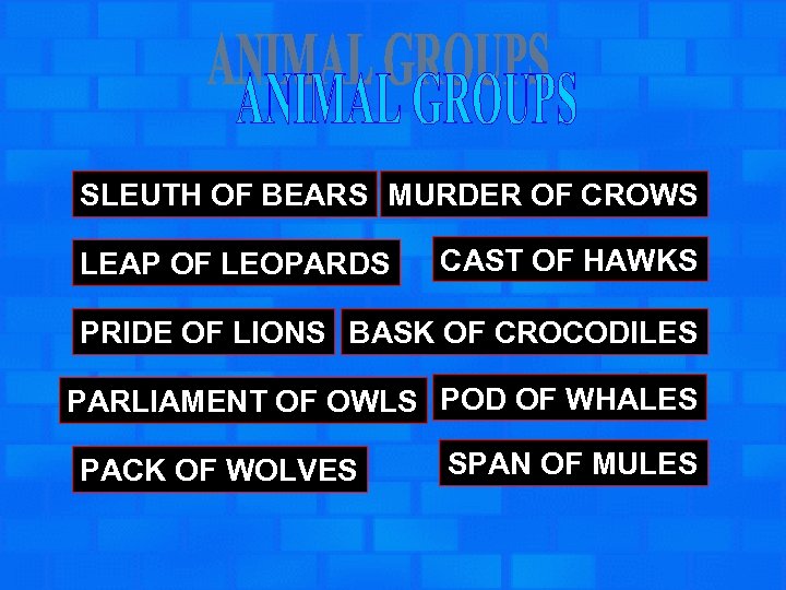 SLEUTH OF BEARS MURDER OF CROWS LEAP OF LEOPARDS CAST OF HAWKS PRIDE OF
