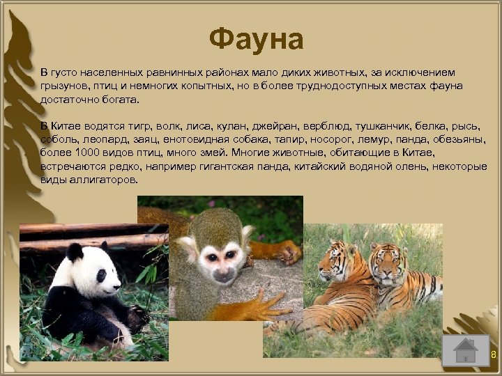 Фауна В густо населенных равнинных районах мало диких животных, за исключением грызунов, птиц и