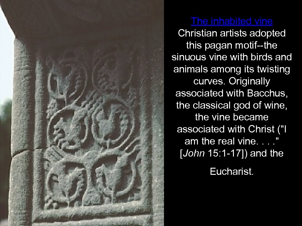 The inhabited vine Christian artists adopted this pagan motif--the sinuous vine with birds and