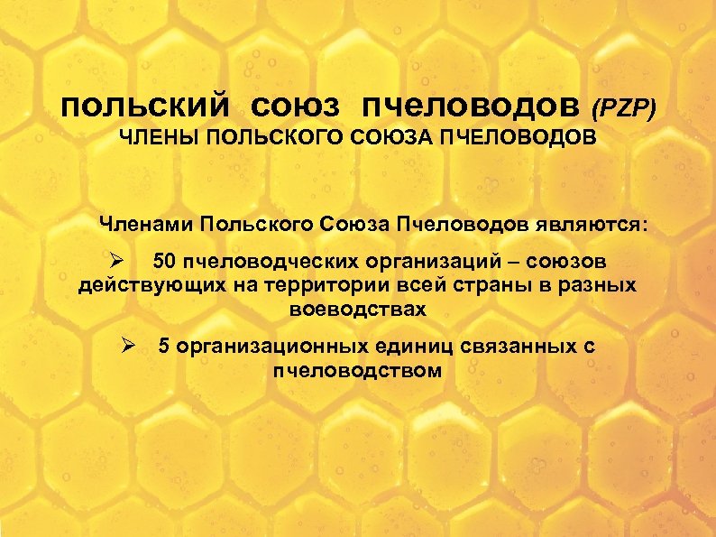 польский союз пчеловодов (PZP) ЧЛЕНЫ ПОЛЬСКОГО СОЮЗА ПЧЕЛОВОДОВ Членами Польского Союза Пчеловодов являются: 50