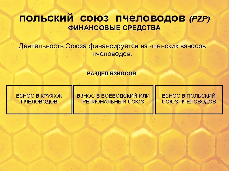 польский союз пчеловодов (PZP) ФИНАНСОВЫЕ СРЕДСТВА Деятельность Союза финансируется из членских взносов пчеловодов. РАЗДЕЛ