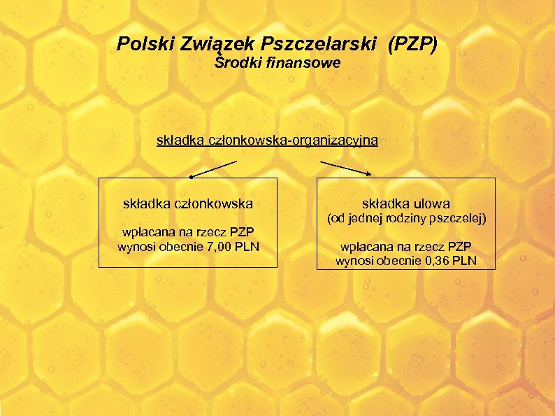 Polski Związek Pszczelarski (PZP) Środki finansowe składka członkowska-organizacyjna składka członkowska składka ulowa (od jednej