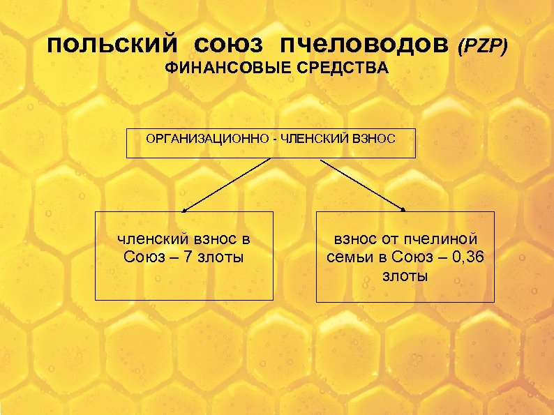 польский союз пчеловодов (PZP) ФИНАНСОВЫЕ СРЕДСТВА ОРГАНИЗАЦИОННО - ЧЛЕНСКИЙ ВЗНОС членский взнос в Союз