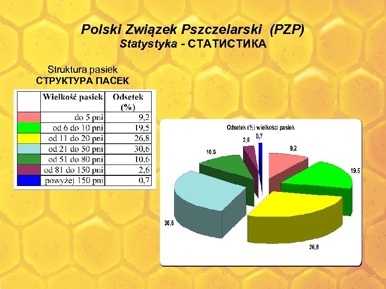 Polski Związek Pszczelarski (PZP) Statystyka - СТАТИСТИКА Struktura pasiek СТРУКТУРА ПАСЕК 