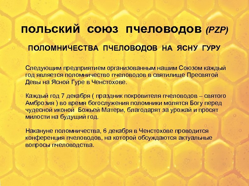 польский союз пчеловодов (PZP) ПОЛОМНИЧЕСТВА ПЧЕЛОВОДОВ НА ЯСНУ ГУРУ Следующим предприятием организованным нашим Союзом