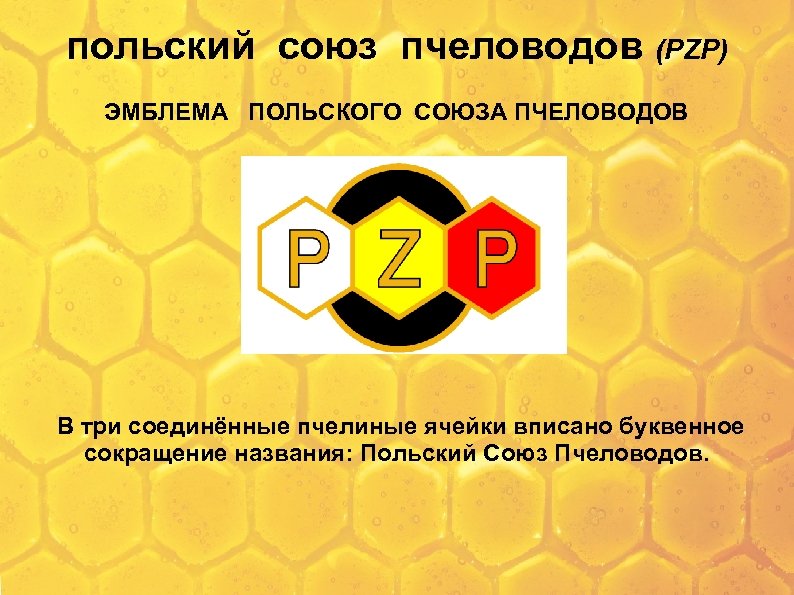 польский союз пчеловодов (PZP) ЭМБЛЕМА ПОЛЬСКОГО СОЮЗА ПЧЕЛОВОДОВ В три соединённые пчелиные ячейки вписано