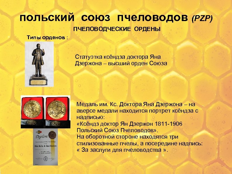 польский союз пчеловодов (PZP) ПЧЕЛОВОДЧЕСКИЕ ОРДЕНЫ Типы орденов : Статуэтка ксёндза доктора Яна Дзержона