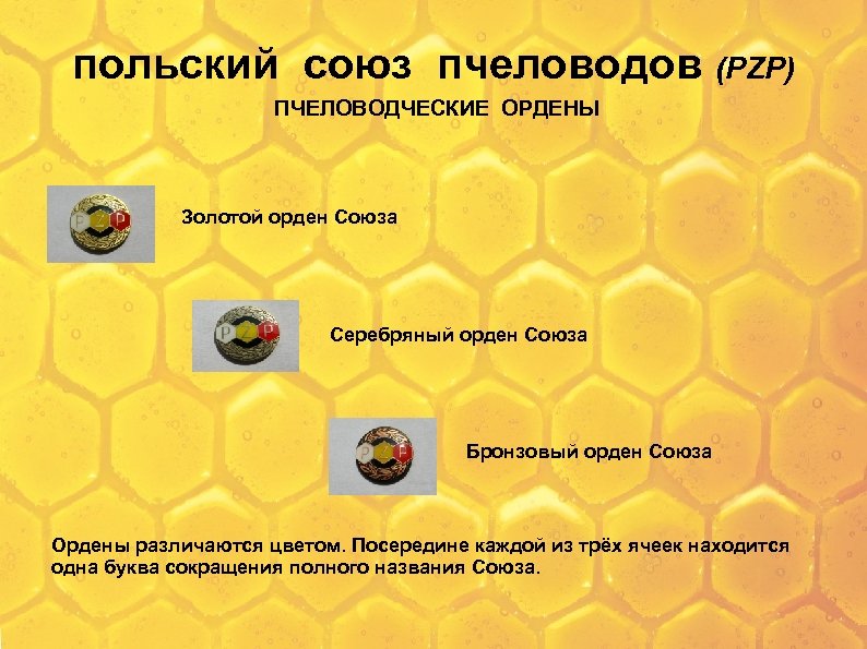 польский союз пчеловодов (PZP) ПЧЕЛОВОДЧЕСКИЕ ОРДЕНЫ Золотой орден Союза Серебряный орден Союза Бронзовый орден