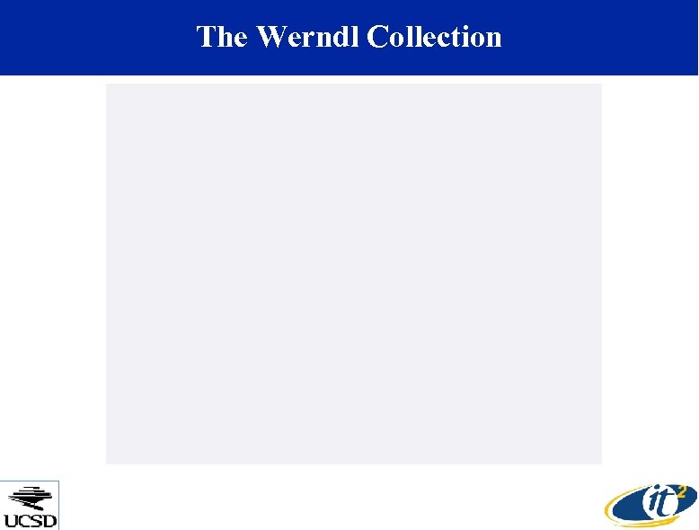 The Werndl Collection 