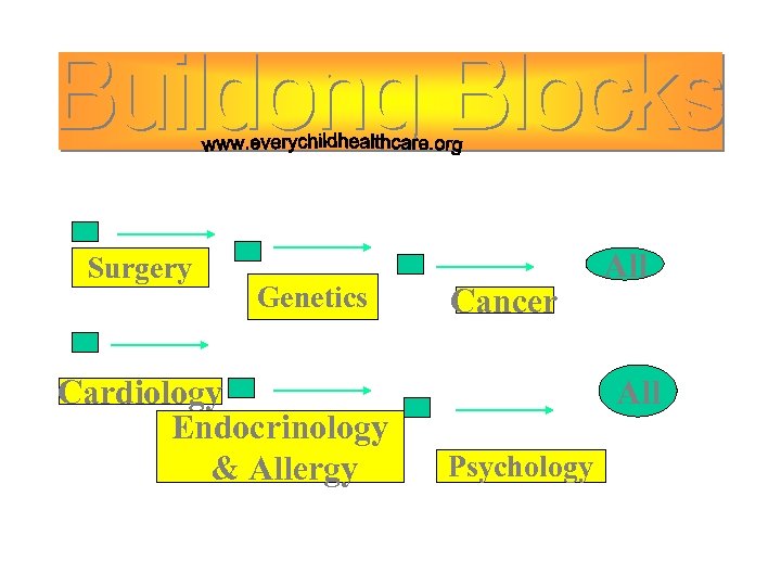Surgery Genetics Cardiology Endocrinology & Allergy Cancer All Psychology 