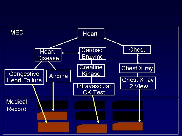 MED Heart Disease Congestive Heart Failure Medical Record Angina Cardiac Enzyme Chest Creatine Kinase