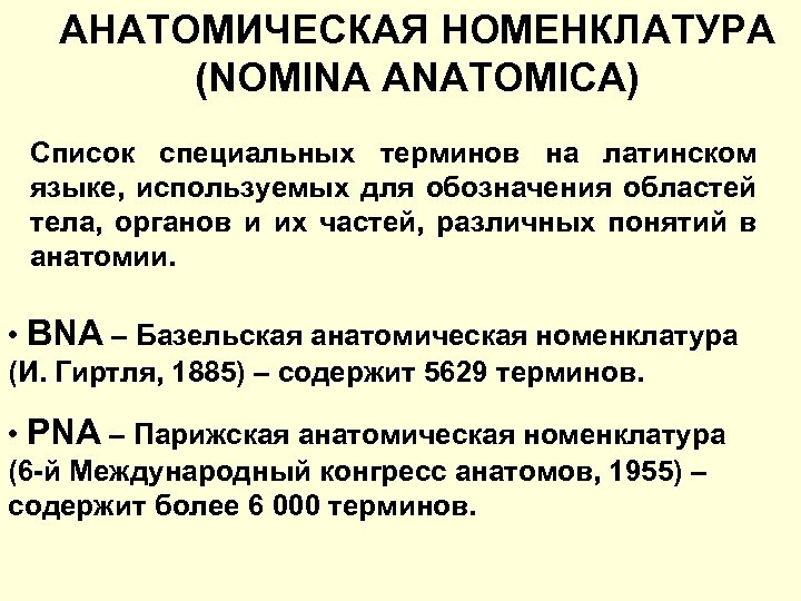 АНАТОМИЧЕСКАЯ НОМЕНКЛАТУРА (NOMINA ANATOMICA) Список специальных терминов на латинском языке, используемых для обозначения областей