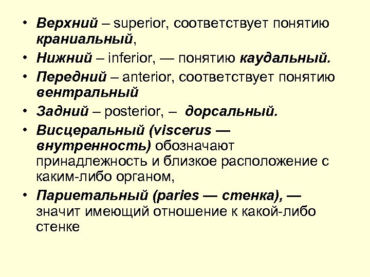  • Верхний – superior, соответствует понятию краниальный, • Нижний – inferior, — понятию