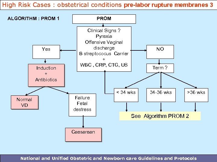 High Risk Cases : obstetrical conditions pre-labor rupture membranes 3 ALGORITHM : PROM 1