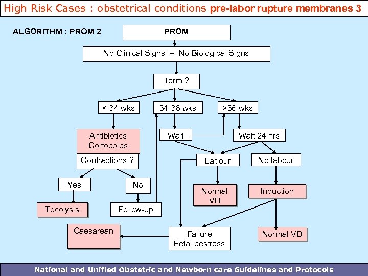 High Risk Cases : obstetrical conditions pre-labor rupture membranes 3 ALGORITHM : PROM 2