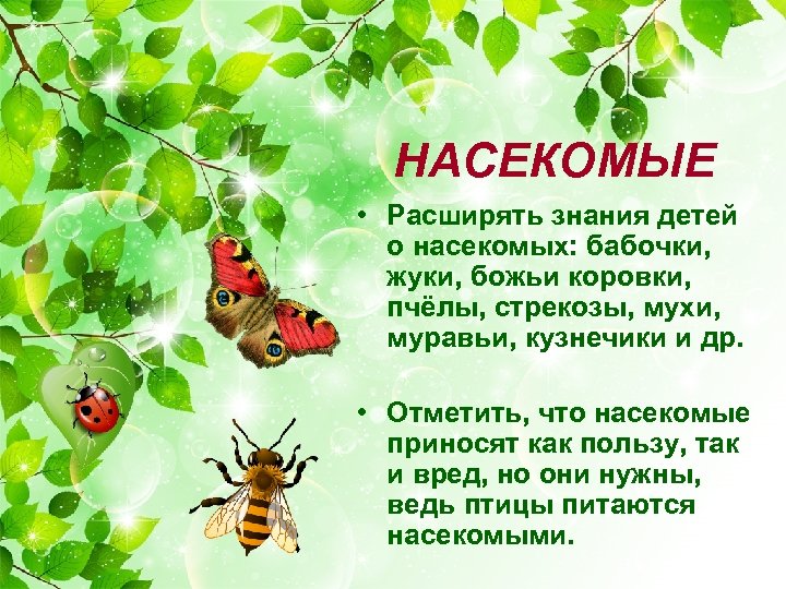 Насекомые приносящие пользу