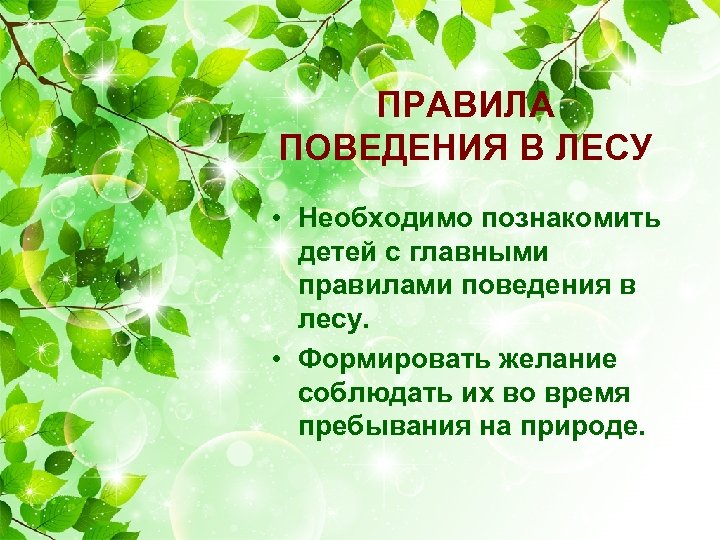 ПРАВИЛА ПОВЕДЕНИЯ В ЛЕСУ • Необходимо познакомить детей с главными правилами поведения в лесу.