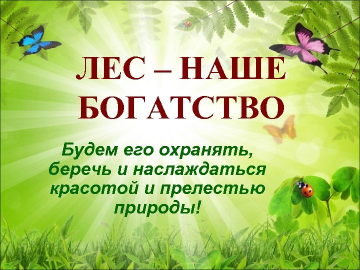 День лесов презентация. Лес наше богатство. Лес наше богатство для дошкольников. Лес-наше богатство презентация. Проект лес наше богатство.