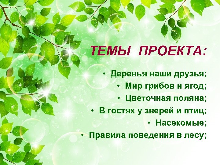 ТЕМЫ ПРОЕКТА: • Деревья наши друзья; • Мир грибов и ягод; • Цветочная поляна;