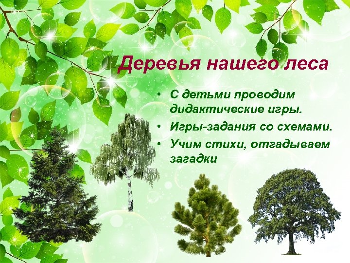 Волкова Н.А. Алгоритм составление описательного рассказа "Лиственные деревья и к