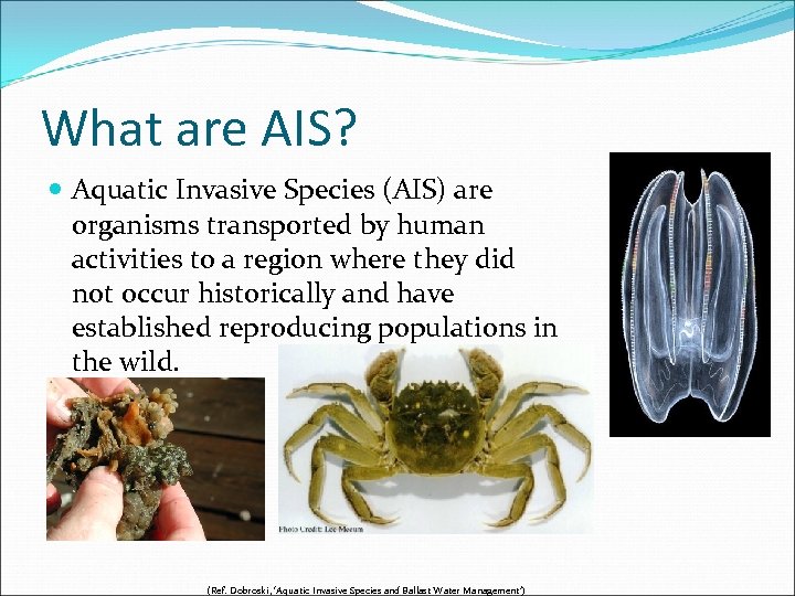 What are AIS? Aquatic Invasive Species (AIS) are organisms transported by human activities to