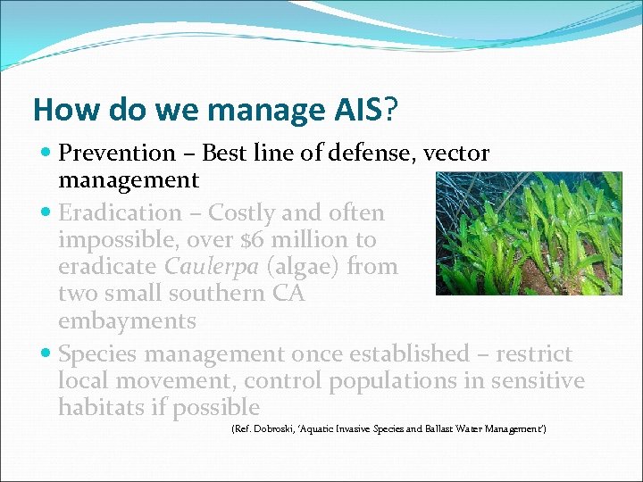 How do we manage AIS? Prevention – Best line of defense, vector management Eradication