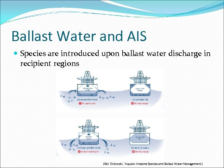 Ballast Water and AIS Species are introduced upon ballast water discharge in recipient regions