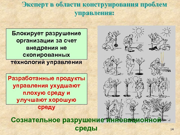 Эксперт в области конструирования проблем управления: Блокирует разрушение организации за счет внедрения не скопированных