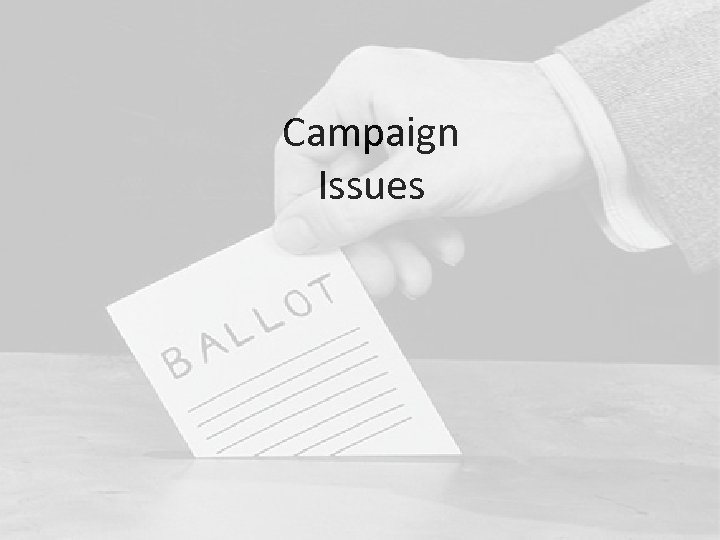 Campaign Issues 