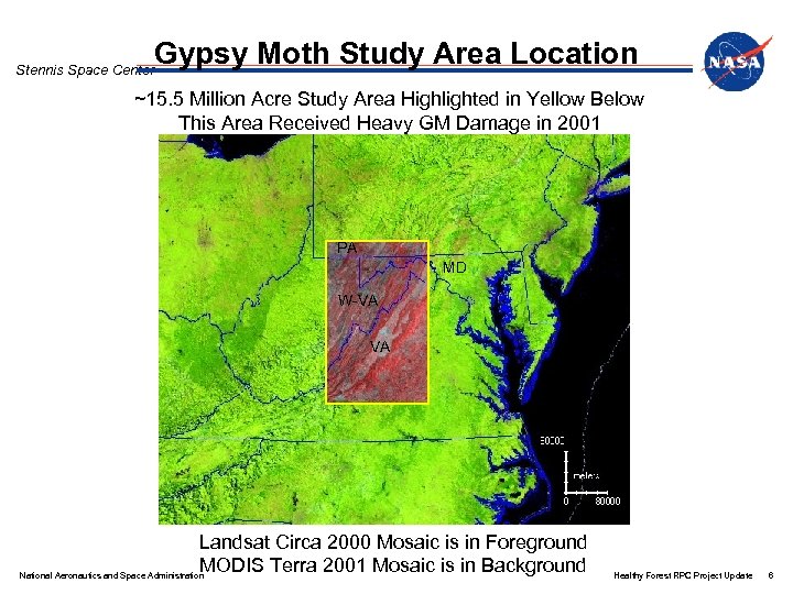 Gypsy Moth Study Area Location Stennis Space Center ~15. 5 Million Acre Study Area