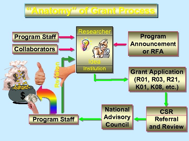 “Anatomy” of Grant Process Program Staff Researcher Revision Collaborators Program Announcement or RFA Idea