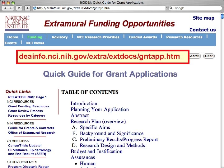 deainfo. nci. nih. gov/extra/extdocs/gntapp. htm 