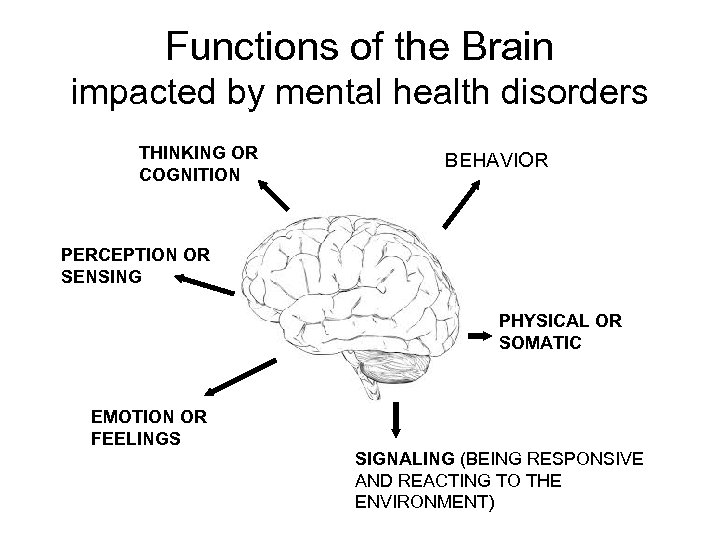 Functions of the Brain impacted by mental health disorders THINKING OR COGNITION BEHAVIOR PERCEPTION