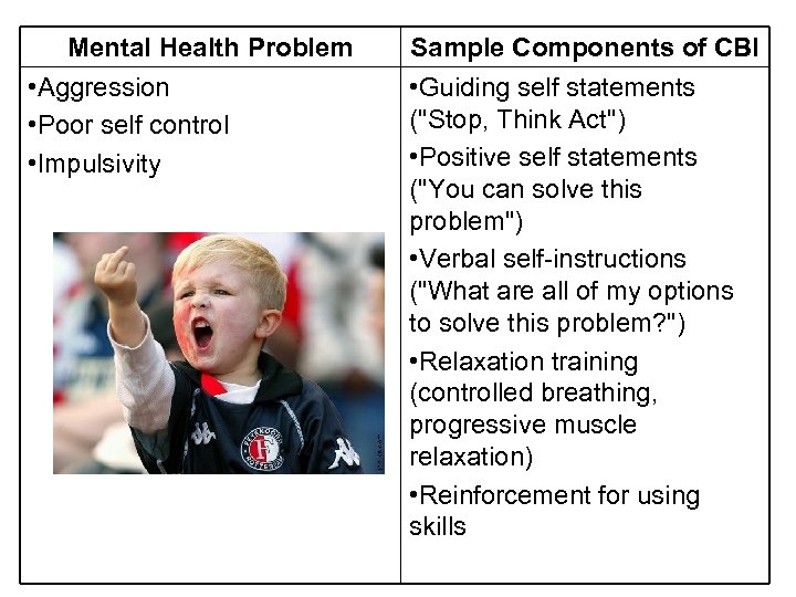 Mental Health Problem • Aggression • Poor self control • Impulsivity Sample Components of