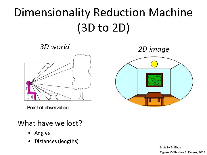 Dimensionality Reduction Machine (3 D to 2 D) 3 D world 2 D image