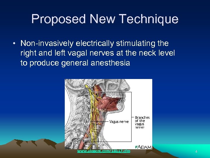 Proposed New Technique • Non-invasively electrically stimulating the right and left vagal nerves at
