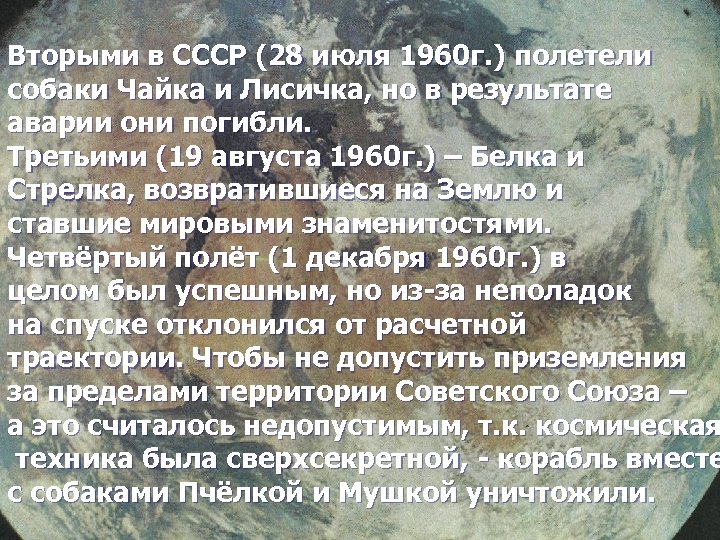 Вторыми в СССР (28 июля 1960 г. ) полетели собаки Чайка и Лисичка, но