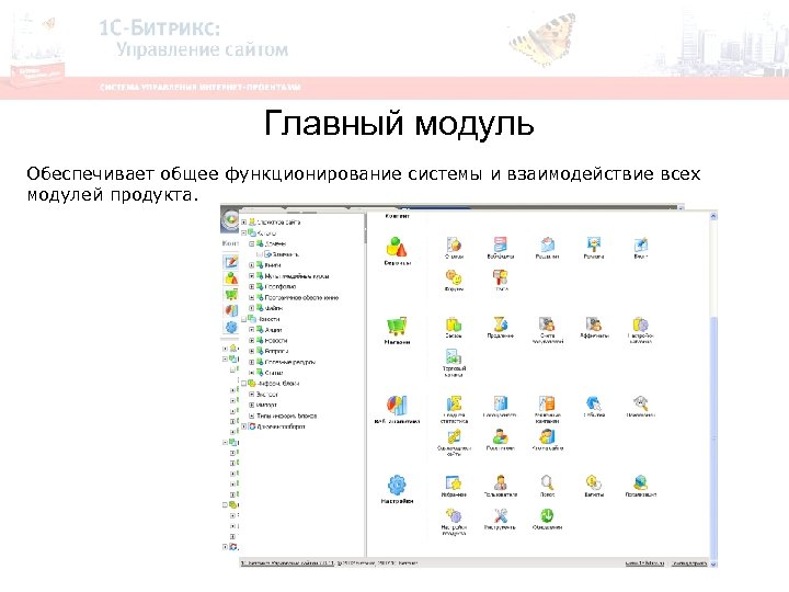 Главный модуль Обеспечивает общее функционирование системы и взаимодействие всех модулей продукта. 