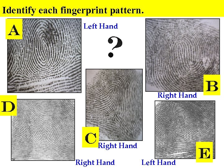 Identify each fingerprint pattern. Left Hand Right Hand Left Hand 